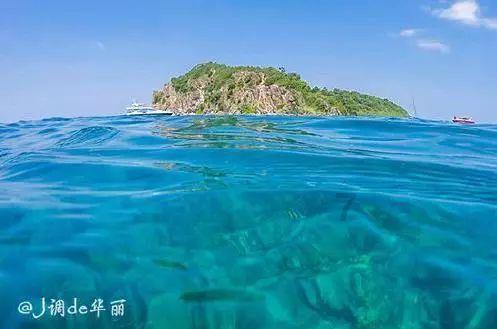全民剧本大师内置菜单